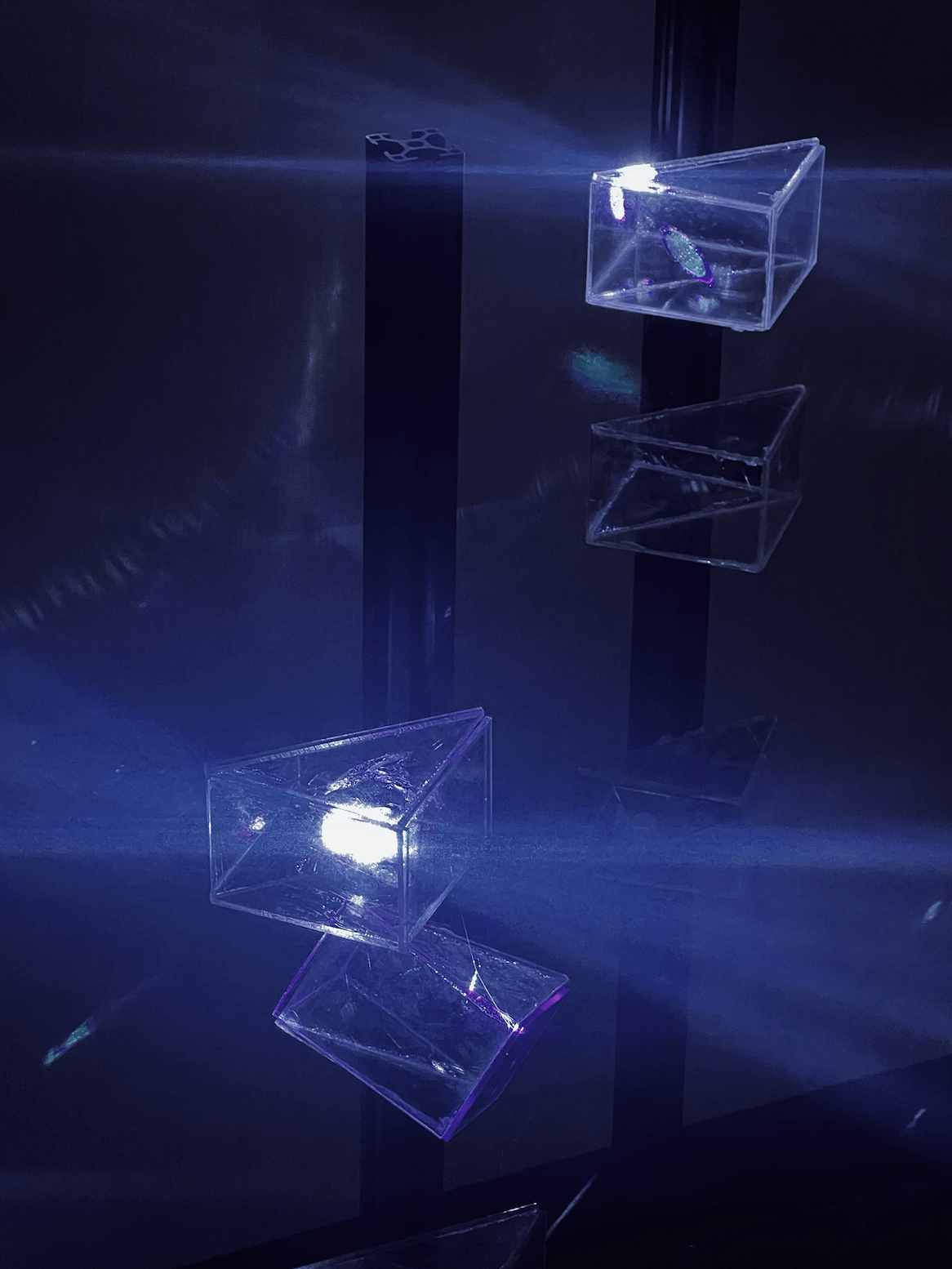 Pulse variation capture with extended blue chords